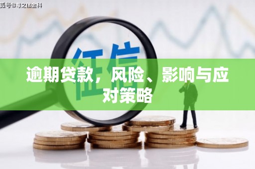龙陵逾期贷款，风险、影响与应对策略