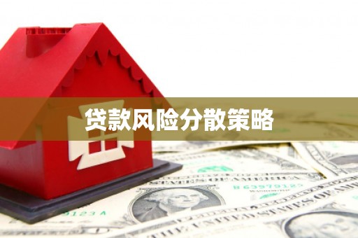 龙陵贷款风险分散策略