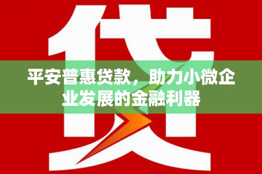 龙陵平安普惠贷款，助力小微企业发展的金融利器