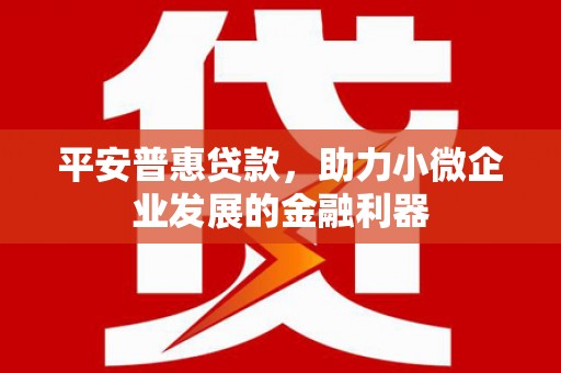 龙陵平安普惠贷款，助力小微企业发展的金融利器