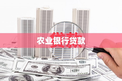 龙陵农业银行贷款