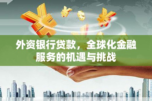 龙陵外资银行贷款，全球化金融服务的机遇与挑战