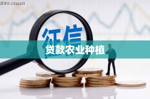 龙陵贷款农业种植