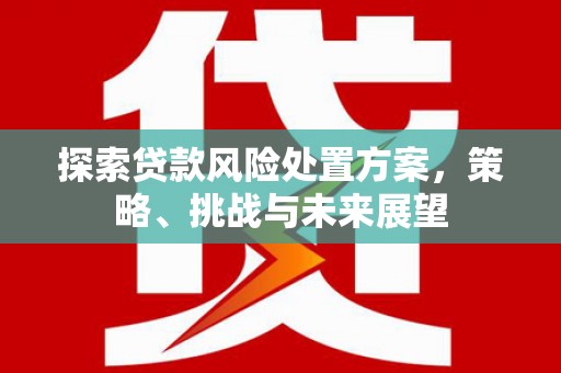龙陵探索贷款风险处置方案，策略、挑战与未来展望