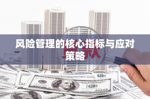 龙陵风险管理的核心指标与应对策略