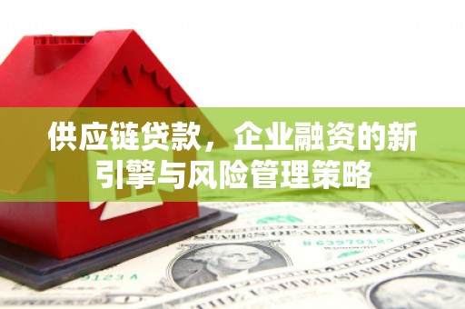 龙陵供应链贷款，企业融资的新引擎与风险管理策略