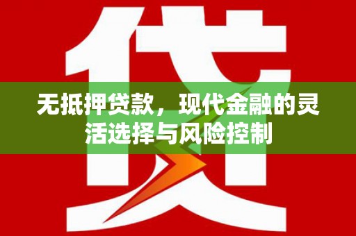龙陵无抵押贷款，现代金融的灵活选择与风险控制