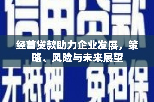 龙陵经营贷款助力企业发展，策略、风险与未来展望