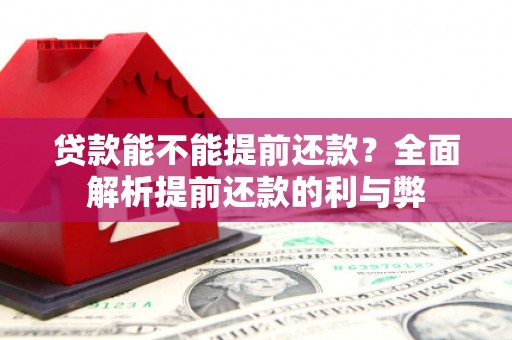 龙陵贷款能不能提前还款？全面解析提前还款的利与弊