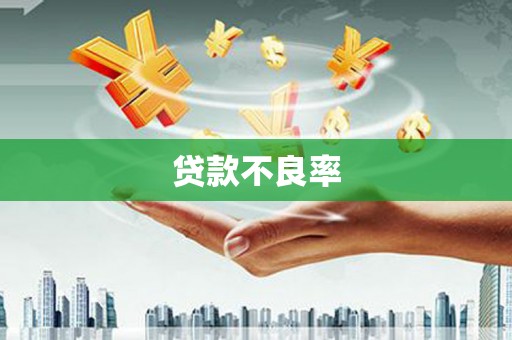 龙陵贷款不良率