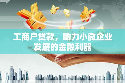 龙陵工商户贷款，助力小微企业发展的金融利器