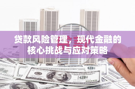 龙陵贷款风险管理，现代金融的核心挑战与应对策略