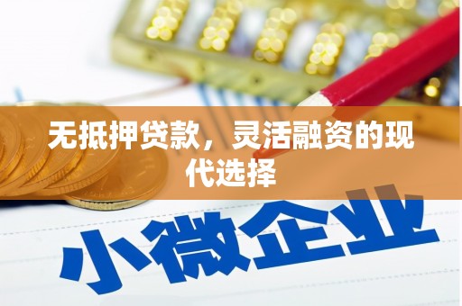 龙陵无抵押贷款，灵活融资的现代选择