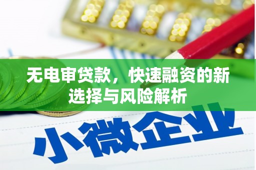 龙陵无电审贷款，快速融资的新选择与风险解析