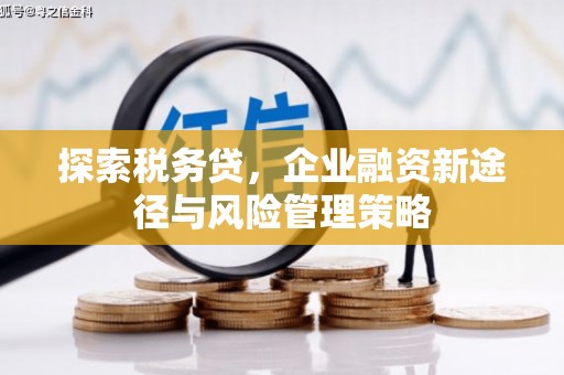 龙陵探索税务贷，企业融资新途径与风险管理策略
