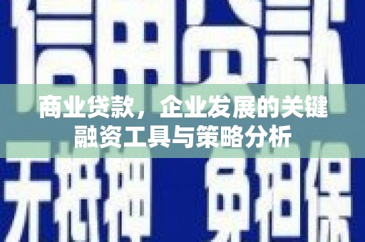 龙陵商业贷款，企业发展的关键融资工具与策略分析
