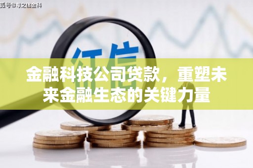 龙陵金融科技公司贷款，重塑未来金融生态的关键力量