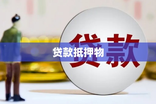 龙陵贷款抵押物