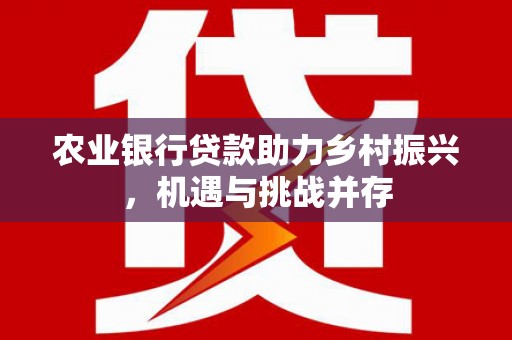 龙陵农业银行贷款助力乡村振兴，机遇与挑战并存