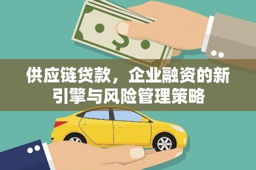 龙陵供应链贷款，企业融资的新引擎与风险管理策略