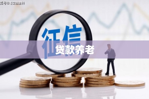 龙陵贷款养老