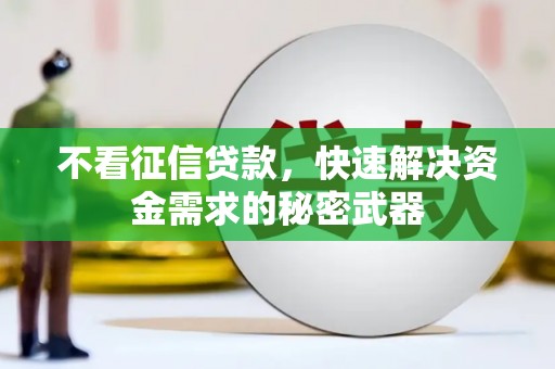 龙陵不看征信贷款，快速解决资金需求的秘密武器