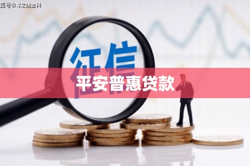 龙陵平安普惠贷款