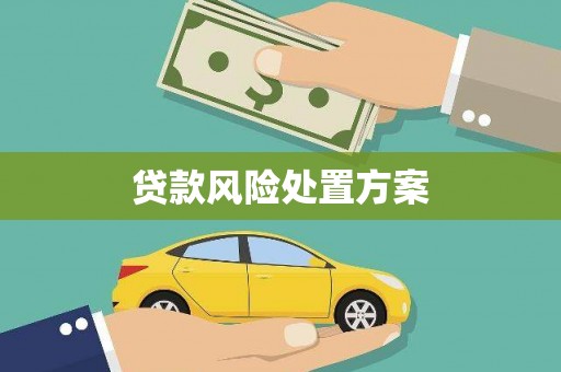 龙陵贷款风险处置方案