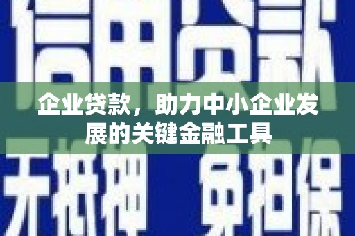 龙陵企业贷款，助力中小企业发展的关键金融工具