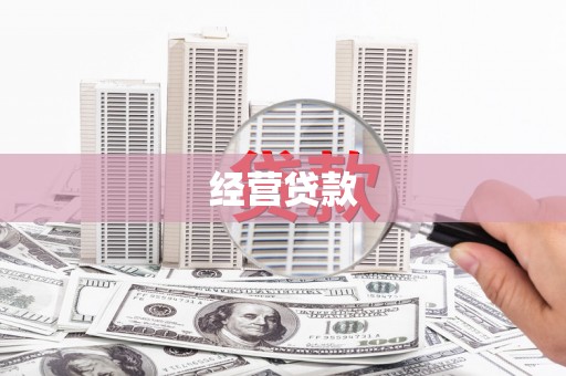 龙陵经营贷款
