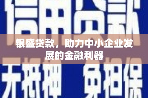 龙陵银盛贷款，助力中小企业发展的金融利器