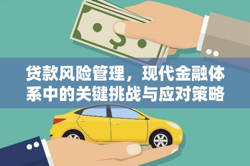 龙陵贷款风险管理，现代金融体系中的关键挑战与应对策略