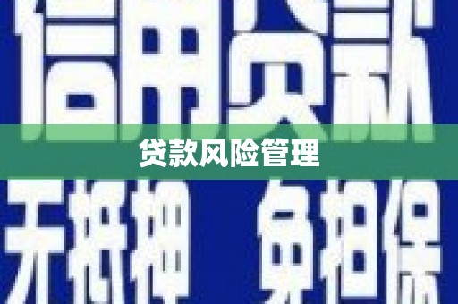 龙陵贷款风险管理