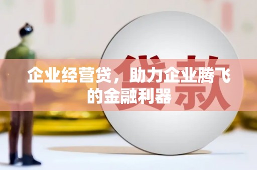 龙陵企业经营贷，助力企业腾飞的金融利器