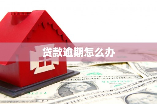 龙陵贷款逾期怎么办