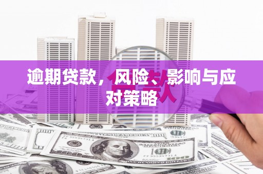 龙陵逾期贷款，风险、影响与应对策略
