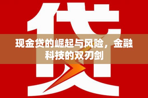 龙陵现金贷的崛起与风险，金融科技的双刃剑
