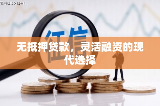 龙陵无抵押贷款，灵活融资的现代选择