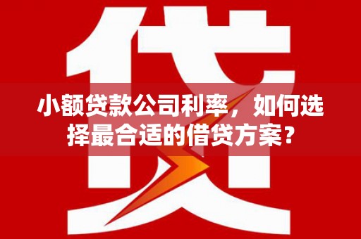 龙陵小额贷款公司利率，如何选择最合适的借贷方案？