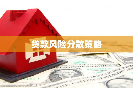 龙陵贷款风险分散策略