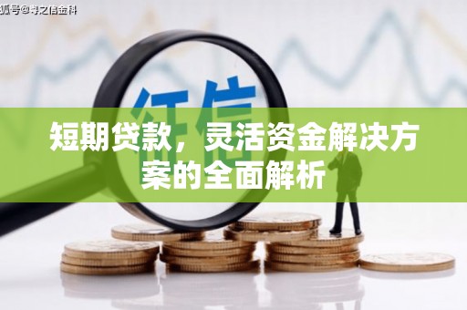 龙陵短期贷款，灵活资金解决方案的全面解析