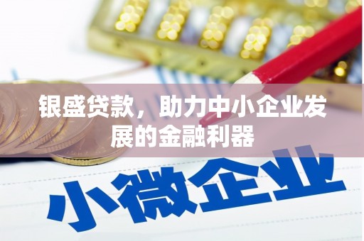 龙陵银盛贷款，助力中小企业发展的金融利器
