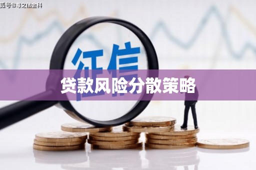 龙陵贷款风险分散策略
