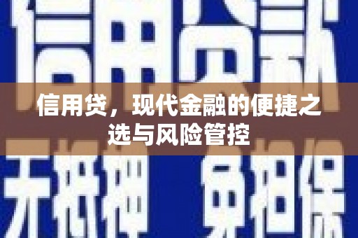 龙陵信用贷，现代金融的便捷之选与风险管控
