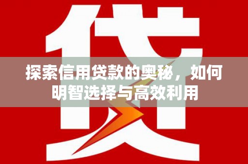 龙陵探索信用贷款的奥秘，如何明智选择与高效利用