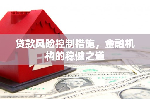 龙陵贷款风险控制措施，金融机构的稳健之道