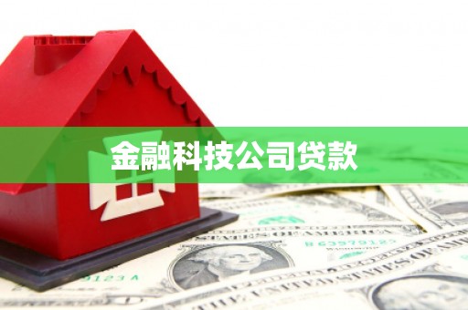 龙陵金融科技公司贷款