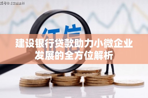 龙陵建设银行贷款助力小微企业发展的全方位解析