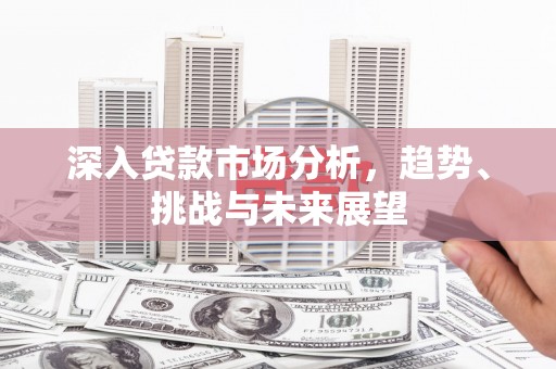 龙陵深入贷款市场分析，趋势、挑战与未来展望
