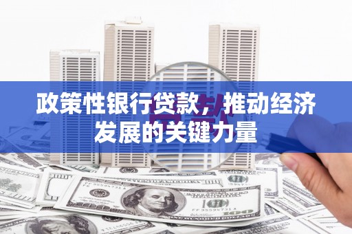 龙陵政策性银行贷款，推动经济发展的关键力量